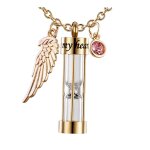 Collier en forme d'aile d'ange, pendentif commmoratif en acier inoxydable, 12 couleurs, pierre de naissance, ...