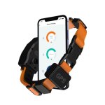 Collier gps pour chien avec cl�ture electronique personnalisable par application orange yonis