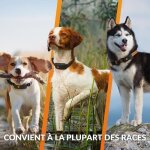 Collier gps pour chien - weenect chien xt - antenne xl - etanche - collier julius - k9 - fonctionne avec ... Collier gps pour chien - weenect chien xt - antenne xl - etanche - collier julius - k9 - fonctionne avec ...