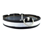 Collier led rechargeable pour chien, accessoire de s�curit� nocturne, en nylon, lumineux et clignotant, ...