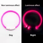 Collier lumineux avec chargeur usb pour chien, accessoires pour animaux de compagnie, led, rechargeable, ...