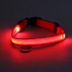 Collier lumineux pour gros chien, l - rouge, led fixes ou clignotantes, visibilit� s�curit� obscurit� ...