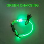 Collier lumineux a led pour chien et chat, accessoire de scurit nocturne, harnais lumineux, fournitures ...