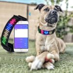 Collier lumineux perro pour chien, avec affichage led, application de contr�le, mat�riel de harnais pour ...