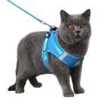 Collier en maille pour chat, harnais, ceinture, rglable, pour chaton, produits pour animaux de compagnie ...