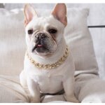 Collier en or brillant avec pendentif en strass pour animal de compagnie, collier pour chien, bijoux ... Collier en or brillant avec pendentif en strass pour animal de compagnie, collier pour chien, bijoux ...