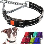 Collier réfléchissant pour chien colliers martingale boucle a dégagement latéral chaîne d'entraînement ... Collier réfléchissant pour chien colliers martingale boucle a dégagement latéral chaîne d'entraînement ...