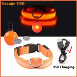 Collier de scurit pour chien avec pendentif dtachable, chargement usb, lumire led de luxe, pour petits ...