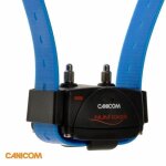 Collier seul dressage chien canicom + sangle bleue