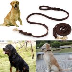 Collier de traction en cuir tressé pour chien, longueur 2m, laisse d'entraînement Collier de traction en cuir tressé pour chien, longueur 2m, laisse d'entraînement