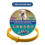 Colliers veterinaires anti - puces et anti - tiques pour chiens et chats, collier antiparasitaire pour ...