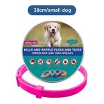 Collier veterinaire anti - puces et anti - tiques pour chiens et chats, collier antiparasitaire pour ...