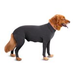 Combinaison pour chiens, moyenne et grande taille, evite la perte de poils, combinaison de rcupration ...