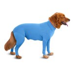 Combinaison pour chiens, moyenne et grande taille, evite la perte de poils, combinaison de rcupration ...