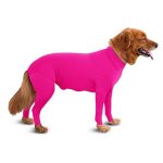 Combinaison pour chiens, moyenne et grande taille, evite la perte de poils, combinaison de rcupration ...