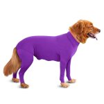 Combinaison pour chiens, moyenne et grande taille, evite la perte de poils, combinaison de rcupration ...