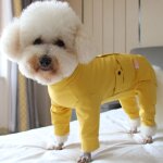 Combinaison fine en pur coton pour animaux de compagnie, vtements pour chiots, protection du ventre, ...