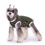 Combinaison de récupération pour chiens après une opération, chemise de récupération, gilet anti - léchage ... Combinaison de récupération pour chiens après une opération, chemise de récupération, gilet anti - léchage ...