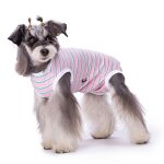 Combinaison de récupération pour chiens après une opération, chemise de récupération, gilet anti - léchage ... Combinaison de récupération pour chiens après une opération, chemise de récupération, gilet anti - léchage ...