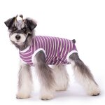 Combinaison de récupération pour chiens après une opération, chemise de récupération, gilet anti - léchage ... Combinaison de récupération pour chiens après une opération, chemise de récupération, gilet anti - léchage ...