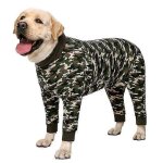 Combinaison de récupération pour chien après une opération chirurgicale, combinaison anti - perte de ... Combinaison de récupération pour chien après une opération chirurgicale, combinaison anti - perte de ...