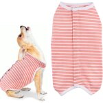 Combinaison de récupération pour chiens et chat anti - léchage body post operatoire pour chien alternative ... Combinaison de récupération pour chiens et chat anti - léchage body post operatoire pour chien alternative ...