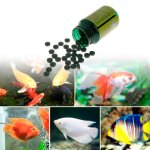 Comprimés de spiruline pour poissons, nourriture pour aquarium, algues tropicales, protéines, acides ... Comprimés de spiruline pour poissons, nourriture pour aquarium, algues tropicales, protéines, acides ...