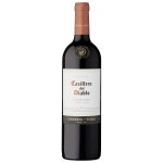 Concha y toro  casillero del diablo  carmenere, 2021, chili, vin rouge