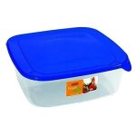 Cong�lateur - coffre - fort carr�s conteneurs en plastique de stockage des aliments avec couvercle bleu ...