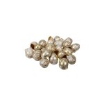 Coquillages nattai 500gr or delave