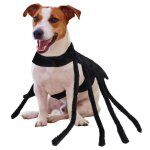Costume d'halloween pour chats et chiens, araign�e cosplay l�g�re et respirante, pieds st�r�oscopiques ...