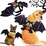 Costume d'halloween pour chien, ailes de chauve souris, vampire, noir, mignon, déguisement pour chien ... Costume d'halloween pour chien, ailes de chauve souris, vampire, noir, mignon, déguisement pour chien ...