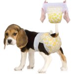 Couche chien femelle - 16 pièces, couches pour chiens et chats, culotte chiennes chaleurs, couche pour ... Couche chien femelle - 16 pièces, couches pour chiens et chats, culotte chiennes chaleurs, couche pour ...