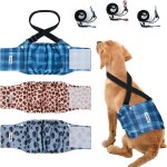 Couches pour chiens mâles avec bretelles, 3 unités, couches pour chiens en chaleur, couches chiens mâles ... Couches pour chiens mâles avec bretelles, 3 unités, couches pour chiens en chaleur, couches chiens mâles ...