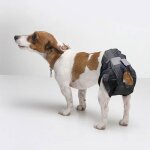 Couches jetables noires dog canvas canvas taille 7