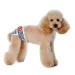 Couches réutilisables pour chiens, bandes ventrales respirantes en coton pour chiots et chatons, culotte ... Couches réutilisables pour chiens, bandes ventrales respirantes en coton pour chiots et chatons, culotte ...