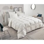 Couette - toison d'or - daisy - chaude - 240x260cm - plumette et duvet