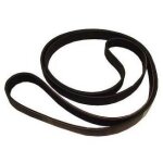 Courroie 1151 j7 lave linge brandt wtm0801f Courroie 1151 j7 lave linge brandt wtm0801f
