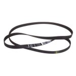 Courroie 1236 j4 el lave linge ariston (c00315247)