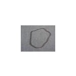 Courroie 1965 h6 seche linge thomson air676c