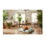 Coussin pour chien - baldar - rectangulaire 100x70x18 cm - memory foam - housse zipp�e