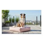 Coussin pour chien - baldar - 80x60x18 cm - rembourrage memory foam - housse amovible lavable