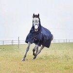 Couverture d'ext�rieur pour cheval mi - saison horze combo avalanche - 1200d 150g
