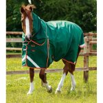 Couverture d'ext�rieur imperm�able pour cheval avec couvre - cou premier equine buster 0 g