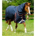 Couverture d'ext�rieur imperm�able pour cheval avec couvre - cou premier equine buster 100 g