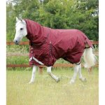 Couverture d'ext�rieur imperm�able pour cheval avec couvre - cou premier equine buster 400 g