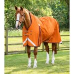 Couverture d'ext�rieur imperm�able pour cheval premier equine buster hardy 200 g