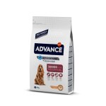 Croquettes chien senior medium - advance 3 kg