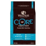 Croquettes oc�an saumon et thon pour chien - wellness core - 10kg