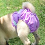 Culotte hygi�nique lavable pour chien, couche - culotte physiologique pour femme, sous - v�tement pour ...